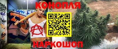 индика Чебоксары